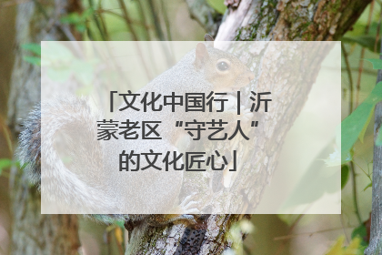 文化中国行｜沂蒙老区“守艺人”的文化匠心