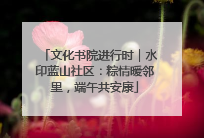 文化书院进行时｜水印蓝山社区：粽情暖邻里，端午共安康
