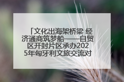 文化出海架桥梁 经济通商筑梦船——自贸区开封片区承办2025年匈牙利文旅交流对接活动专场
