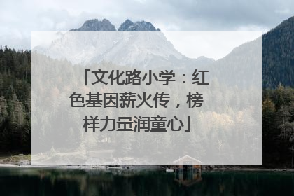 文化路小学：红色基因薪火传，榜样力量润童心