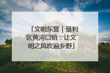 文明东营｜垦利区黄河口镇：让文明之风吹遍乡野