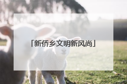 新侨乡文明新风尚