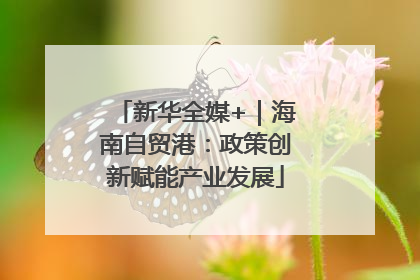 新华全媒+｜海南自贸港：政策创新赋能产业发展