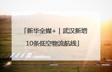 新华全媒+｜武汉新增10条低空物流航线
