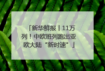 新华鲜报丨11万列！中欧班列跑出亚欧大陆“新时速”