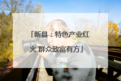 新县：特色产业红火 群众致富有方