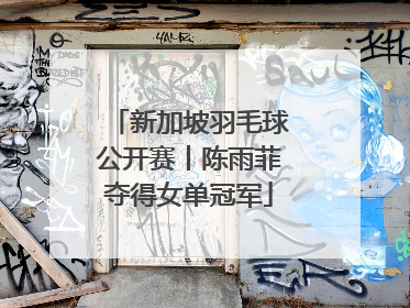 新加坡羽毛球公开赛丨陈雨菲夺得女单冠军