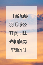 新加坡羽毛球公开赛：陆光祖获男单亚军