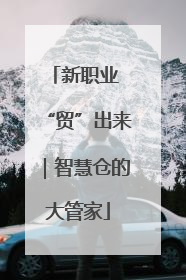 新职业 “贸”出来｜智慧仓的大管家