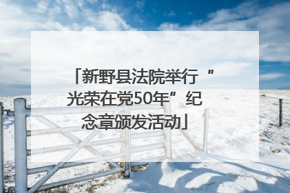新野县法院举行“光荣在党50年”纪念章颁发活动