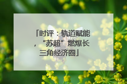 时评：轨道赋能，“苏超”燃爆长三角经济圈