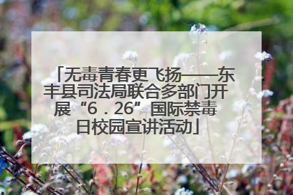 无毒青春更飞扬——东丰县司法局联合多部门开展“6．26”国际禁毒日校园宣讲活动