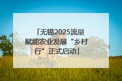 无锡2025流量赋能农业发展“乡村行”正式启动