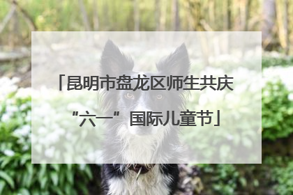 昆明市盘龙区师生共庆“六一”国际儿童节