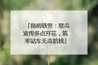 昆明铁警：禁毒宣传多点开花，筑牢站车无毒防线