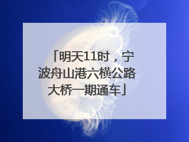 明天11时，宁波舟山港六横公路大桥一期通车