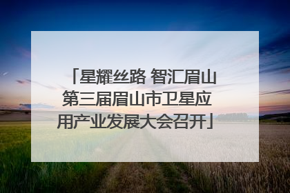 星耀丝路 智汇眉山 第三届眉山市卫星应用产业发展大会召开