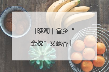 晚潮｜畲乡“金枕”又飘香