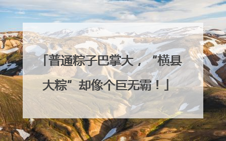 普通粽子巴掌大，“横县大粽”却像个巨无霸！