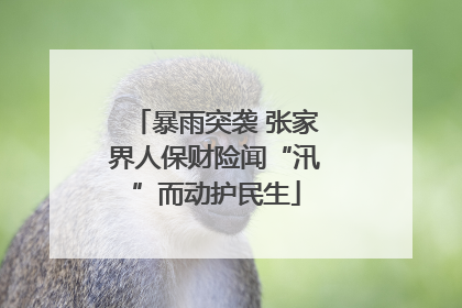 暴雨突袭 张家界人保财险闻“汛”而动护民生