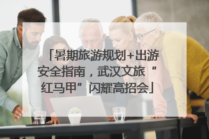 暑期旅游规划+出游安全指南，武汉文旅“红马甲”闪耀高招会