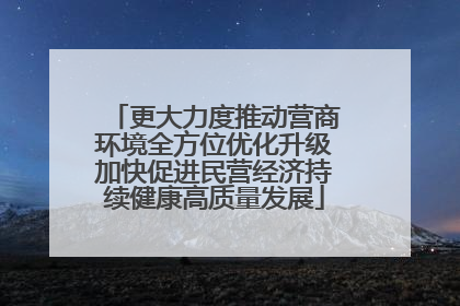 更大力度推动营商环境全方位优化升级加快促进民营经济持续健康高质量发展
