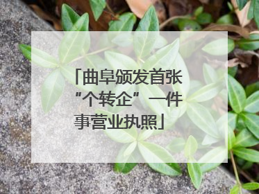曲阜颁发首张“个转企”一件事营业执照