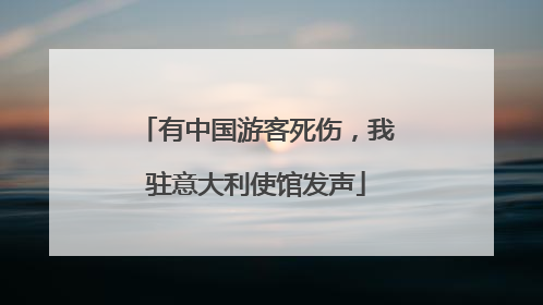 有中国游客死伤，我驻意大利使馆发声