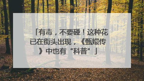 有毒，不要碰！这种花已在街头出现，《甄嬛传》中也有“科普”