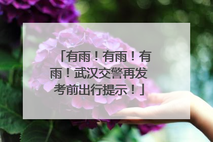 有雨！有雨！有雨！武汉交警再发考前出行提示！