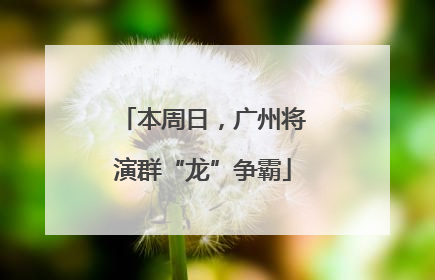 本周日，广州将演群“龙”争霸