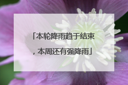 本轮降雨趋于结束，本周还有强降雨