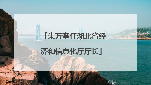 朱万奎任湖北省经济和信息化厅厅长