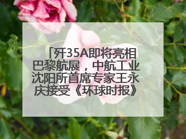 歼35A即将亮相巴黎航展，中航工业沈阳所首席专家王永庆接受《环球时报》专访：未来数量可以有很多