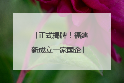 正式揭牌！福建新成立一家国企