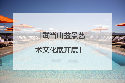 武当山盆景艺术文化展开展