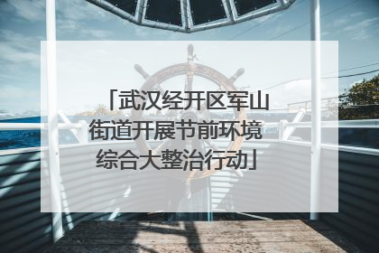 武汉经开区军山街道开展节前环境综合大整治行动