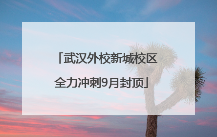 武汉外校新城校区全力冲刺9月封顶