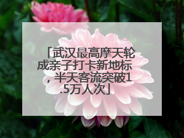 武汉最高摩天轮成亲子打卡新地标，半天客流突破1.5万人次