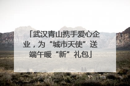 武汉青山携手爱心企业，为“城市天使”送端午暖“新”礼包