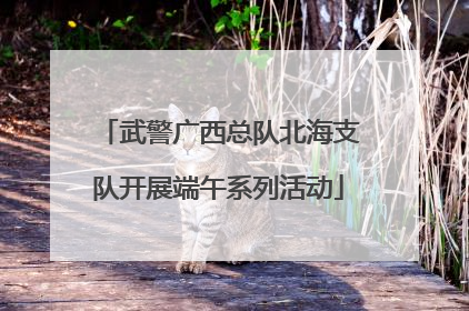 武警广西总队北海支队开展端午系列活动