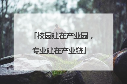 校园建在产业园，专业建在产业链