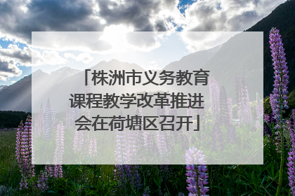 株洲市义务教育课程教学改革推进会在荷塘区召开