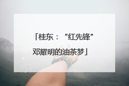 桂东：“红先锋”邓耀明的油茶梦