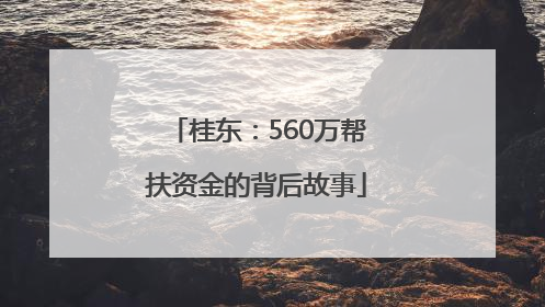 桂东：560万帮扶资金的背后故事
