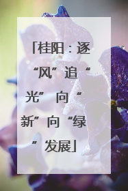 桂阳：逐“风”追“光” 向“新”向“绿”发展