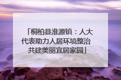 桐柏县淮源镇：人大代表助力人居环境整治 共建美丽宜居家园