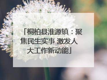 桐柏县淮源镇：聚焦民生实事 激发人大工作新动能