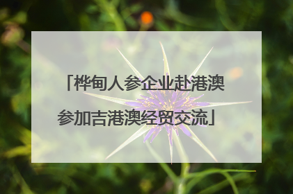 桦甸人参企业赴港澳参加吉港澳经贸交流