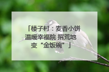楼子村：麦香小饼温暖幸福院 撂荒地变“金饭碗”